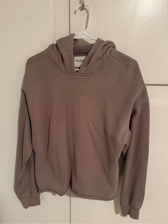 Abercrombie & Fitch Tops - Abercrombie & Fitch Dusty Mauve Hoodie
